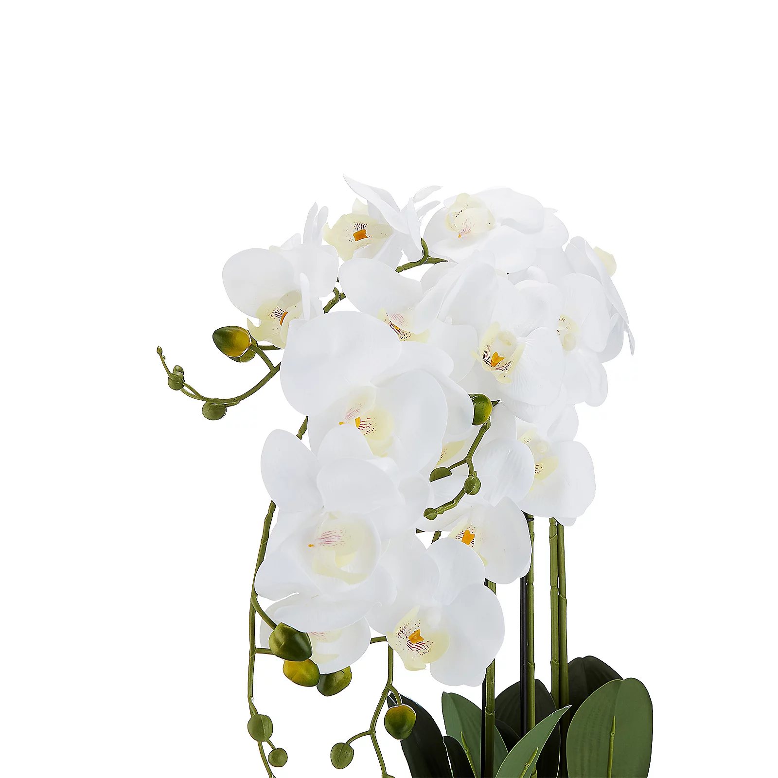 JM by Julien Macdonald 3 Stem Real Touch Faux Orchid in Ceramic Metallic Vessel