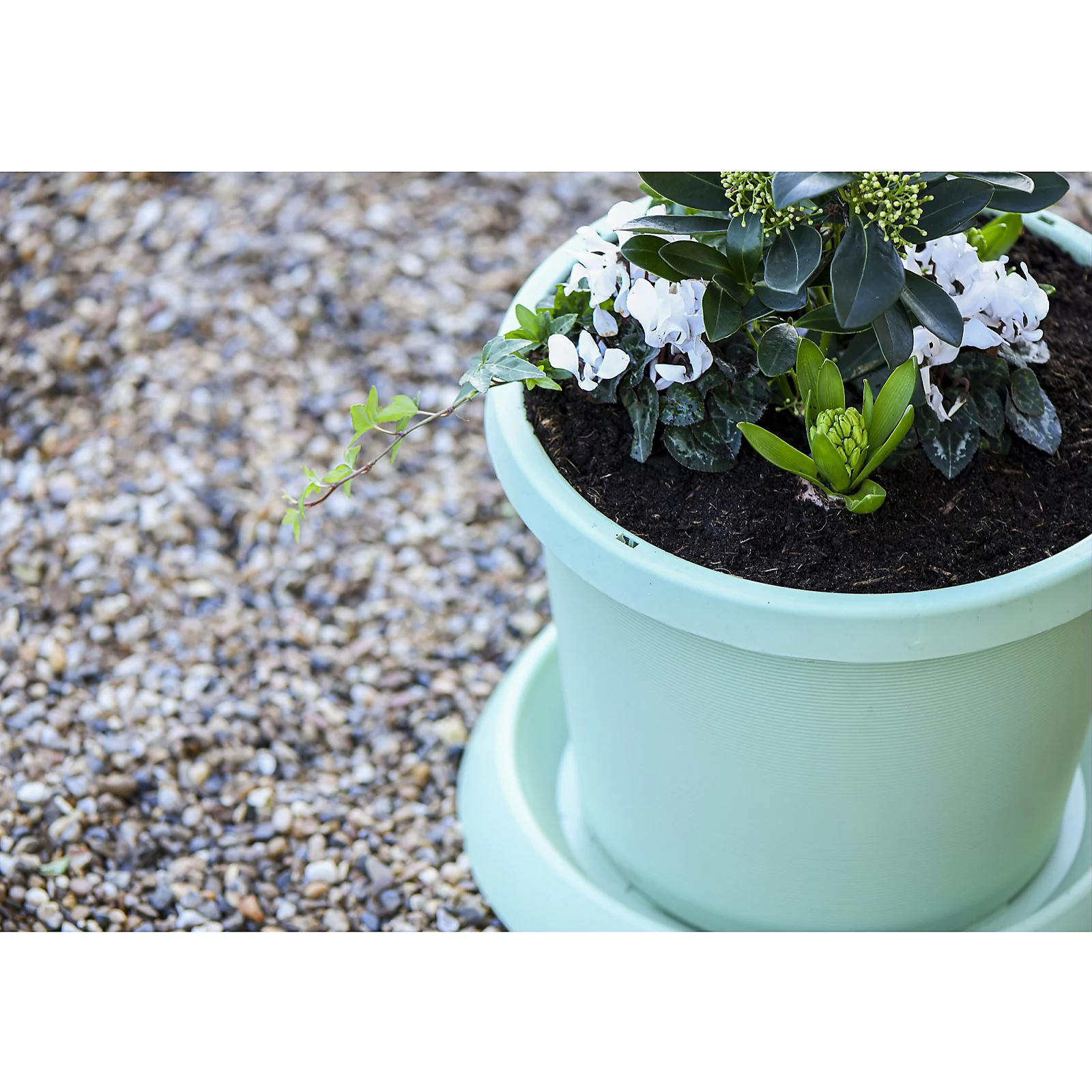 Thompson & Morgan 42cm Planter & Saucer x2