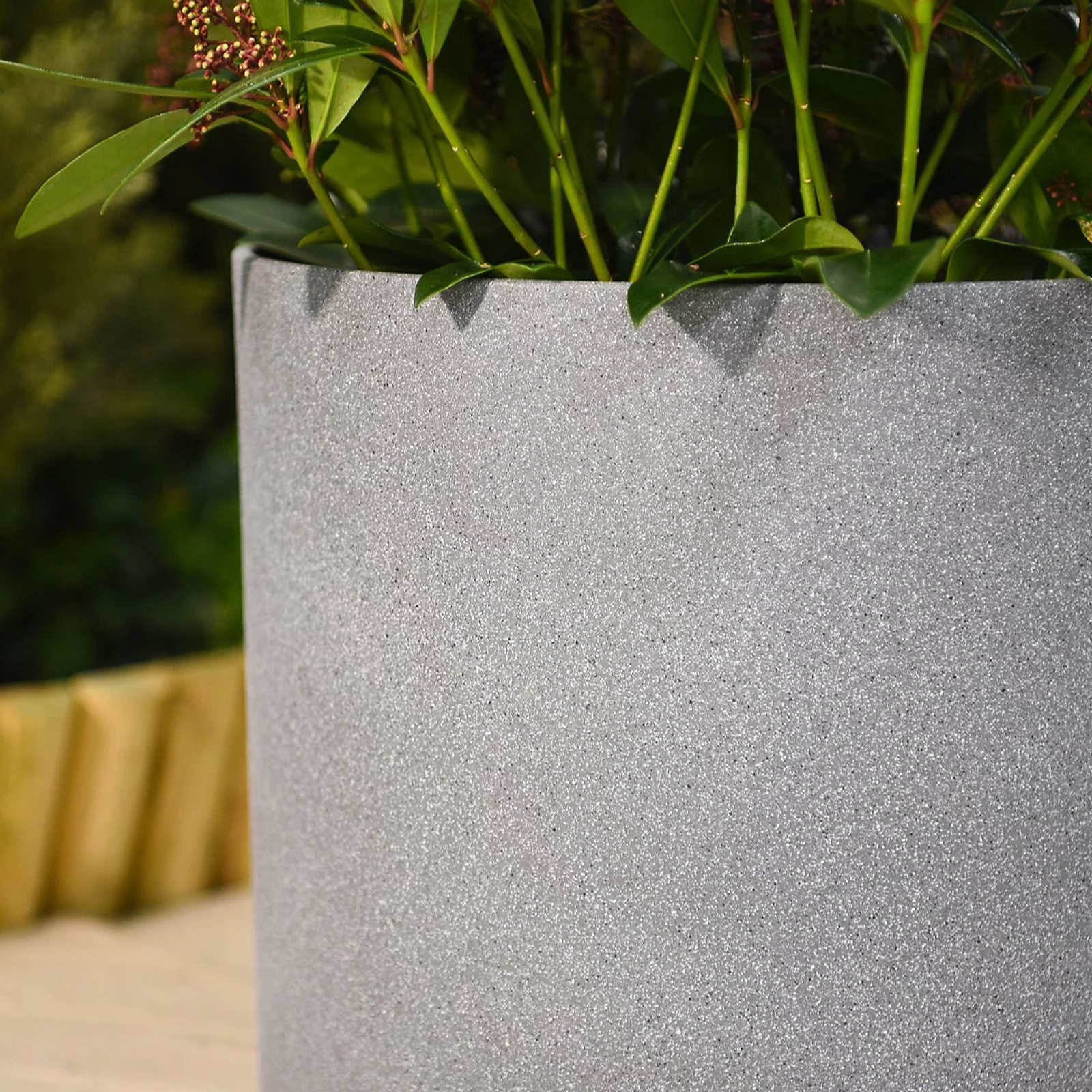 Thompson & Morgan Cylinder Grey 36cm Planter