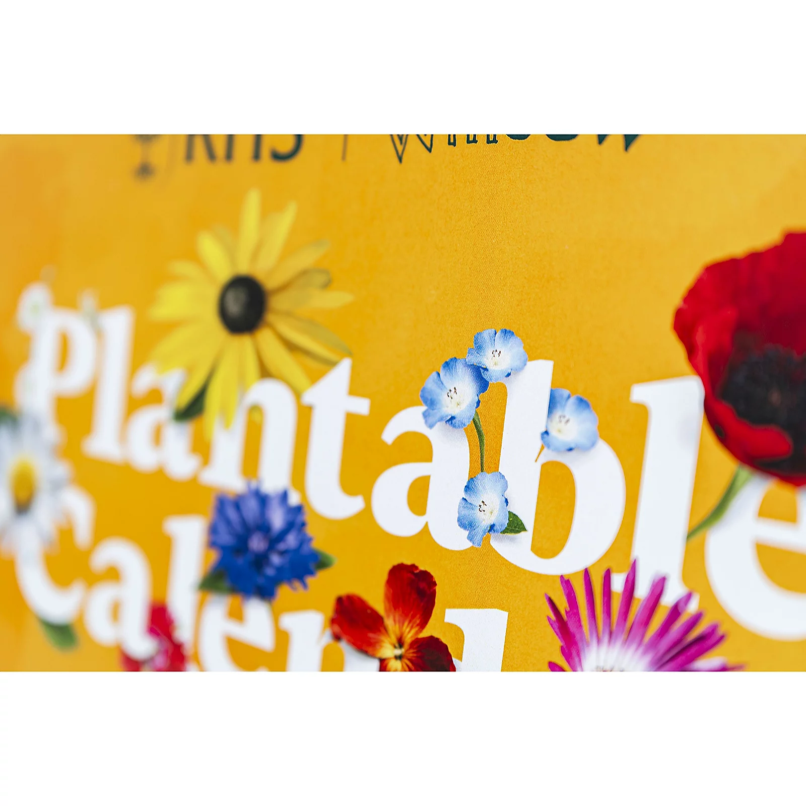 Willsow A4 Desk Calendar (inc 12 Plantable Seeds)