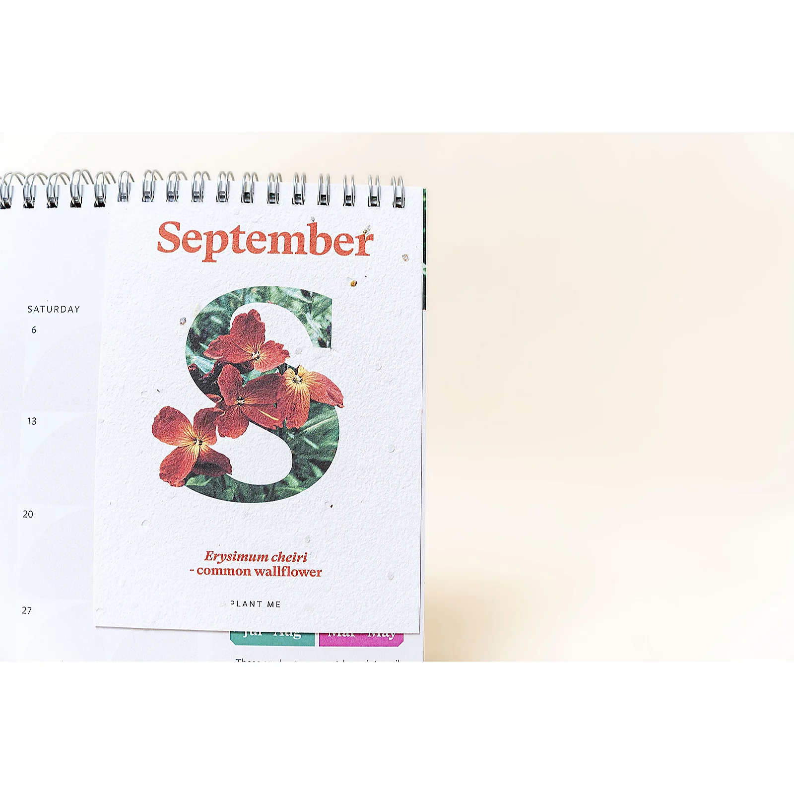 Willsow A4 Desk Calendar (inc 12 Plantable Seeds) 3 Willsow A4 Desk Calendar (inc 12 Plantable Seeds)