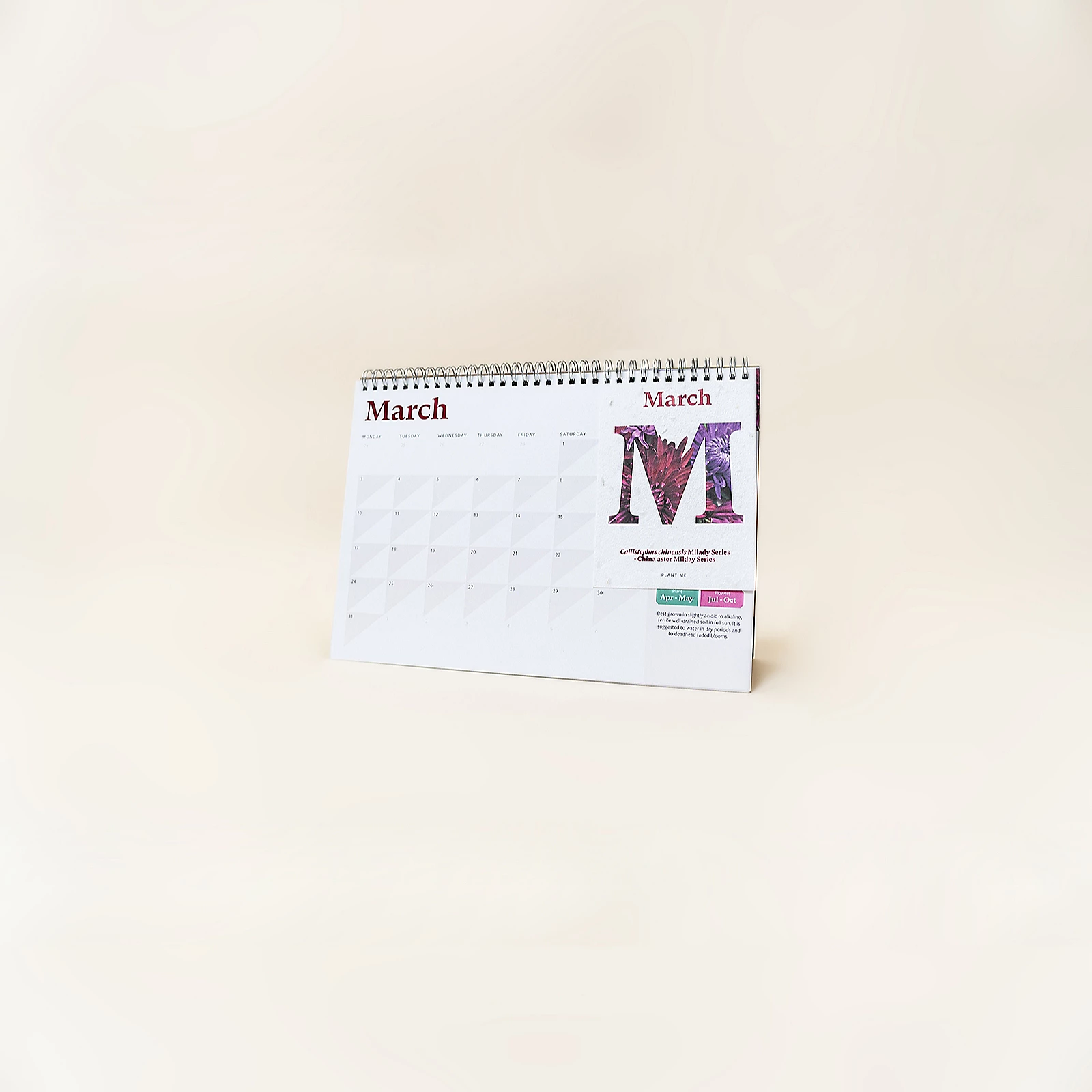 Willsow A5 Desk Calendar (inc 12 Plantable Seeds)