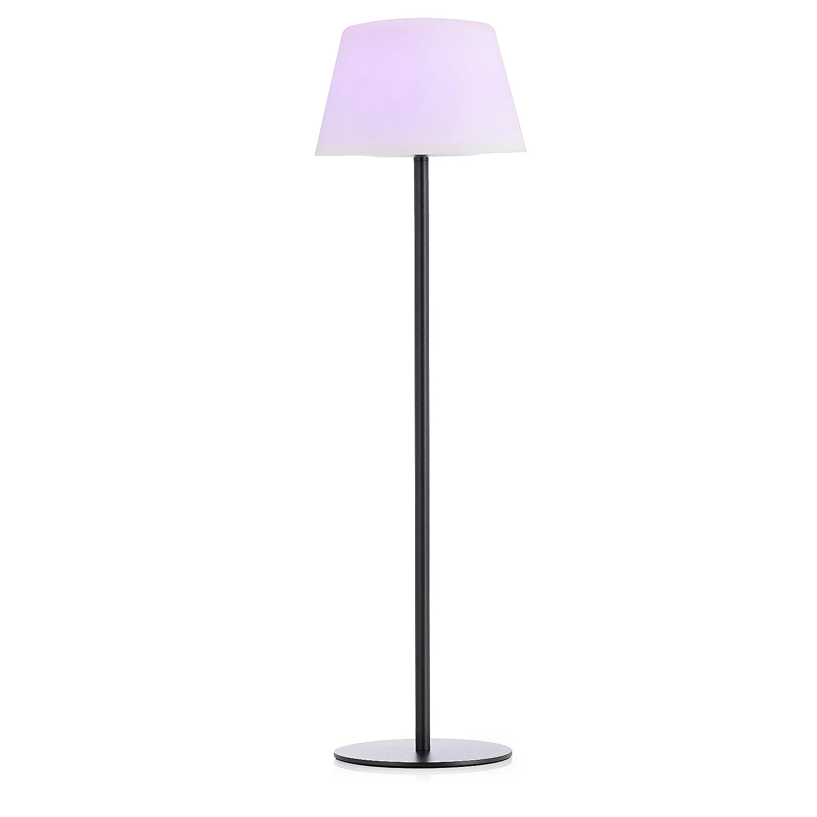 Flourish Solar Floor Lamp with Remote