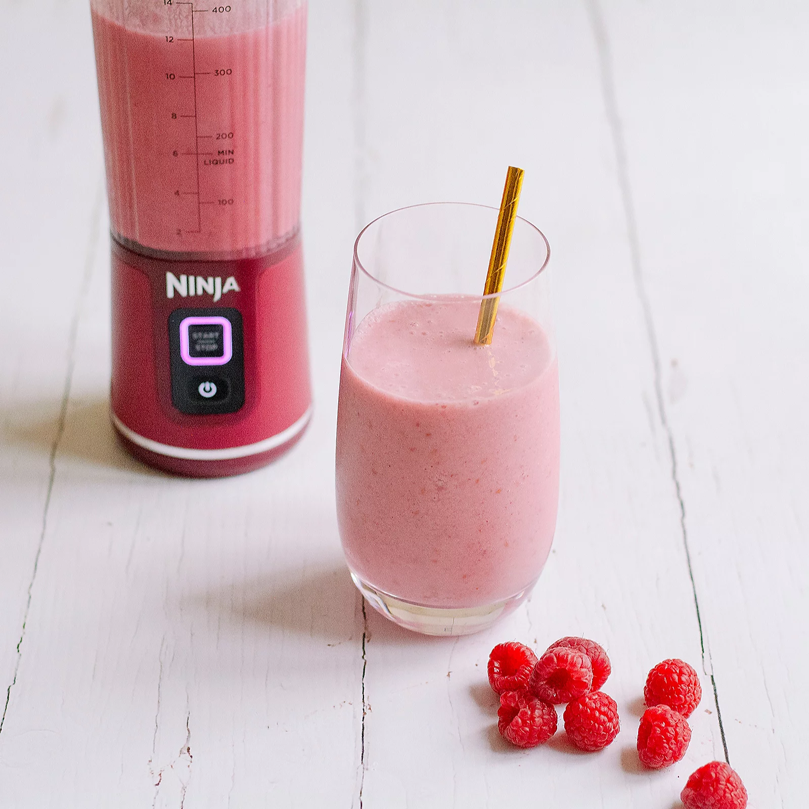 Ninja Blast Rechargeable Blender BC151UK
